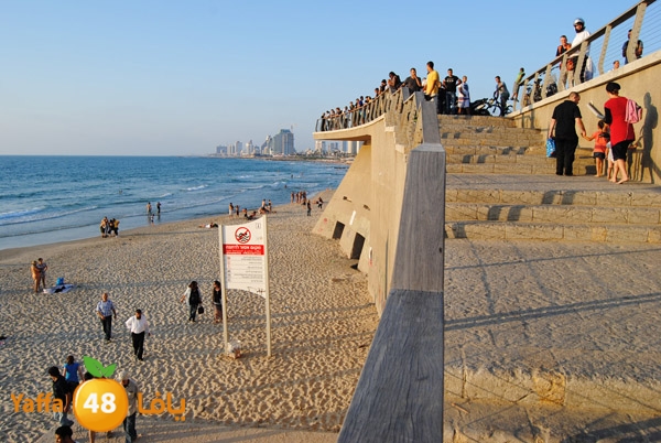 fallen from above 811 (13).JPG